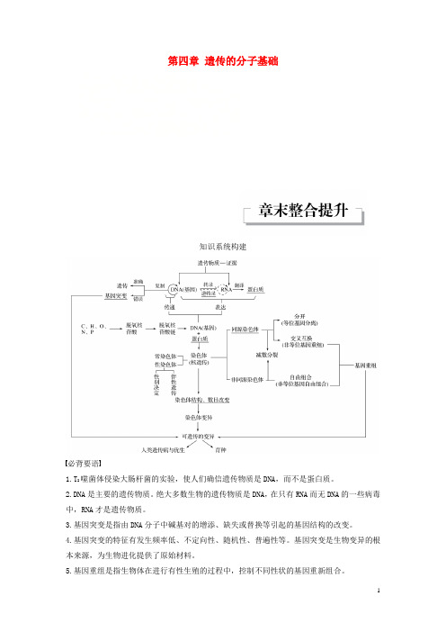 高中生物第四章遗传的分子基础章末整合提升教学案苏教版必修2
