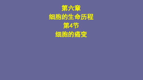 第六章 第4节 细胞的癌变