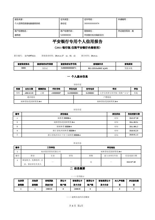 个人信用报告模板