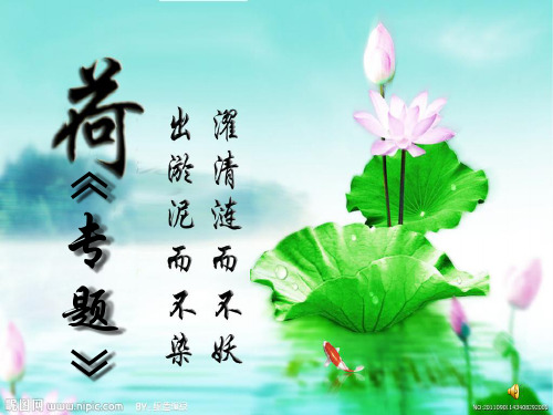 荷《专题》苏教版七下语文