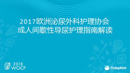2017 EAUN-成人间导护理指南解读final (1)