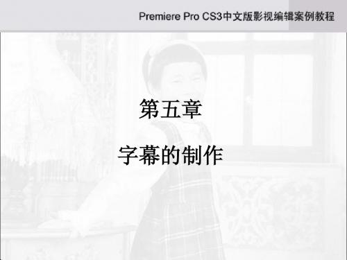 第5章中文版影视编辑案例教程