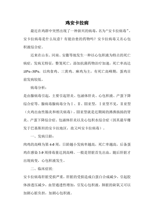 鸡安卡拉病