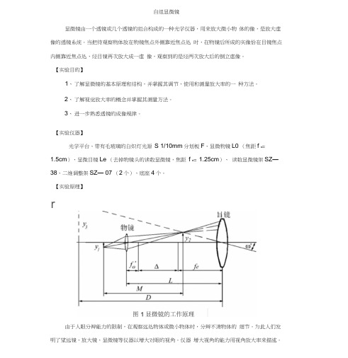 自组显微镜实验报告