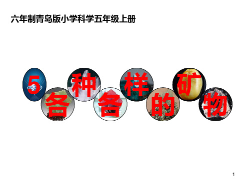 五年级科学上册(青岛版)5各种各样的矿物 (1)PPT课件