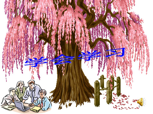 学会学习PPT课件