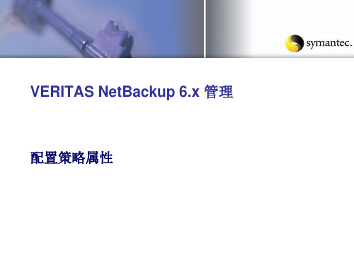 NBU配置策略属性