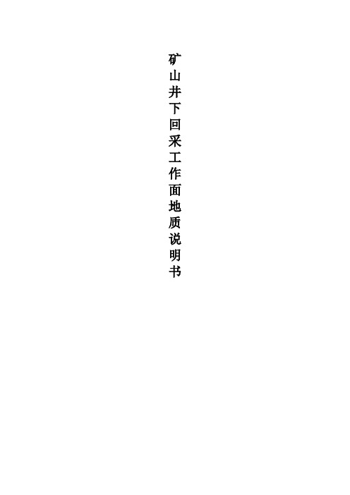 矿山井下巷道工作面地质说明书