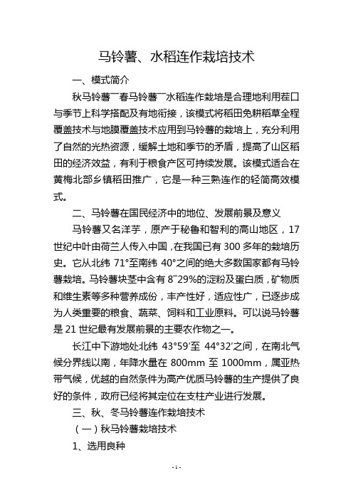 马铃薯、水稻连作栽培技术
