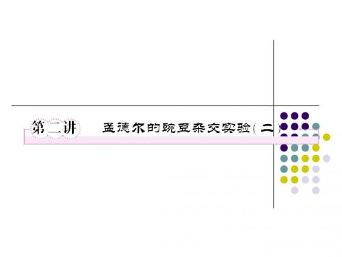 必修二1-2孟德尔的豌豆杂交实验(二)