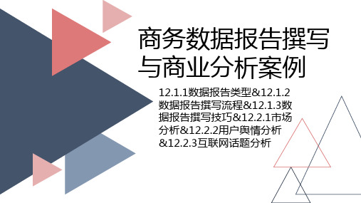 电商数据分析-商务数据报告撰写与商业分析案例