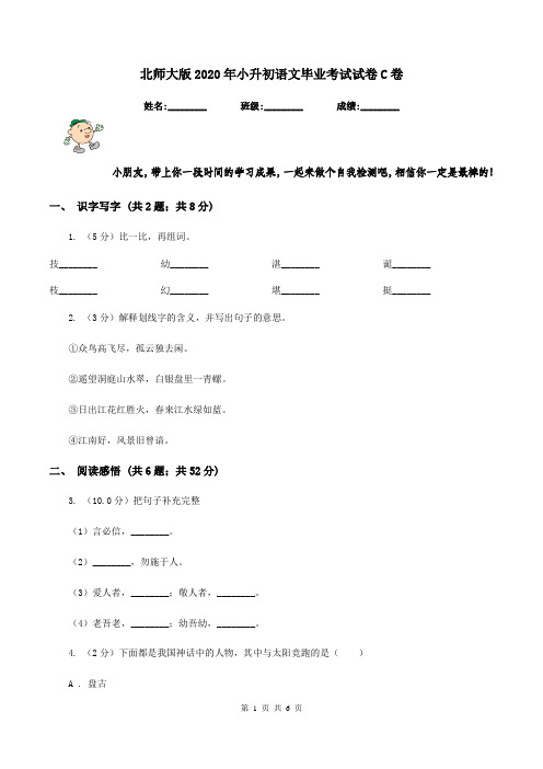 北师大版2020年小升初语文毕业考试试卷C卷