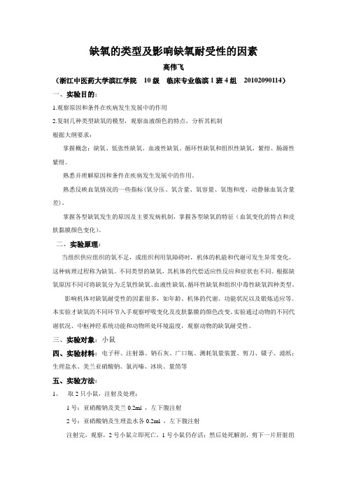 小鼠缺氧模型及其分析