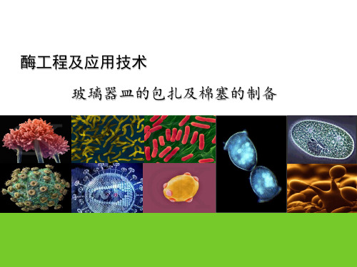玻璃器皿的包扎及棉塞的制备