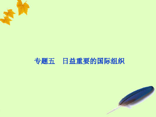 2012届高三政治一轮复习 专题五 日益重要的国际组织课件 新人教选修3