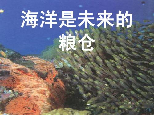 [名校联盟]福建省泉州市泉港博文中学八年级语文《海洋是未来的粮仓》课件
