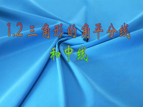 1.2三角形的角平分线和中线课件(浙教版七下)