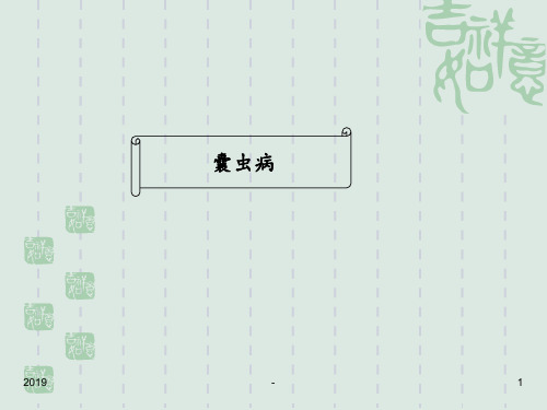 囊虫病图片ppt课件