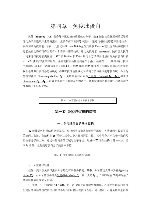 第4章 免疫球蛋白