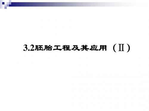 苏教版选修三 3.2 胚胎工程及其应用(Ⅱ)课件(19张)