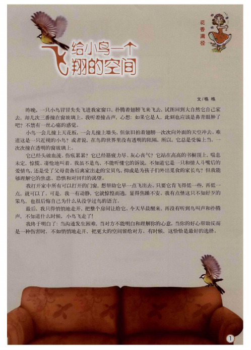 给小鸟一个飞翔的空间