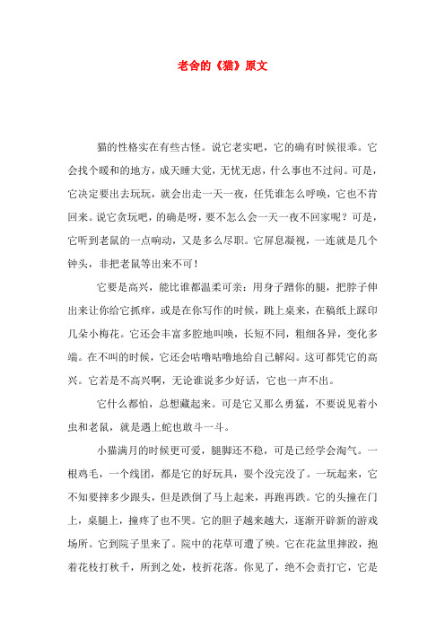 老舍的《猫》原文