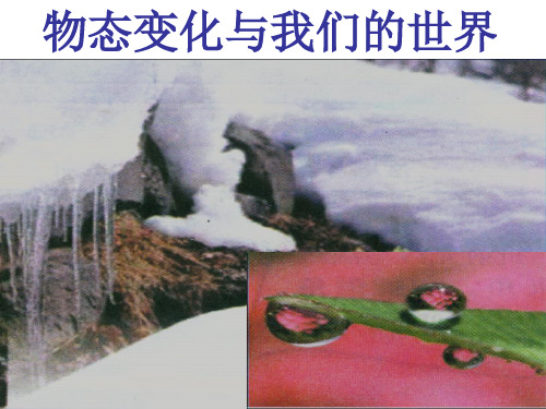 (教科版)物理八年级上册第五章物态变化全套课件(2)初中物理课件初中物理课件