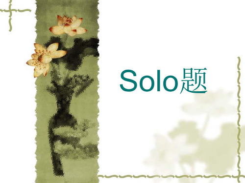 Solo题