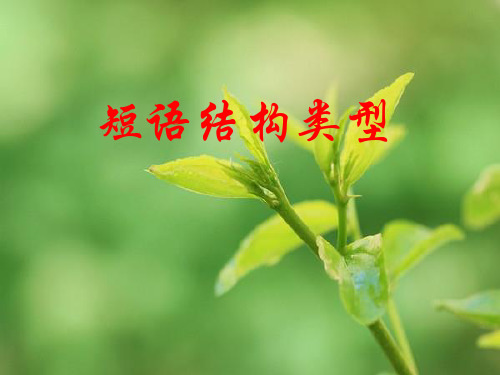 短语结构类型(1)PPT课件