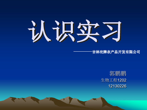 酒精发酵详解