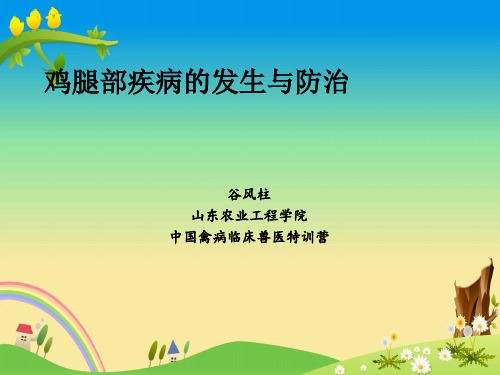 家禽(鸡鸭鹅) 高效高产 养殖精品资料：鸡腿部疾病的发生与防治