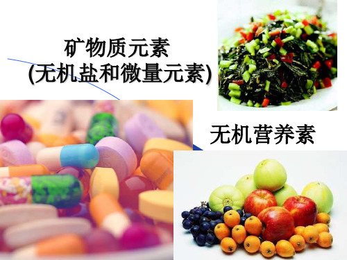 矿物质元素