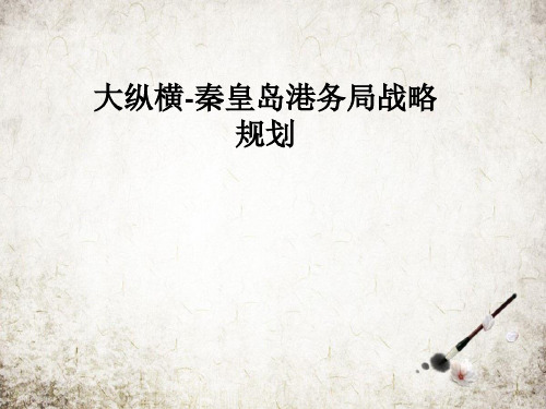 大纵横-秦皇岛港务局战略规划