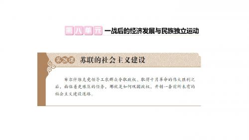 第28课 苏联的社会主义建设 课件(20张ppt)