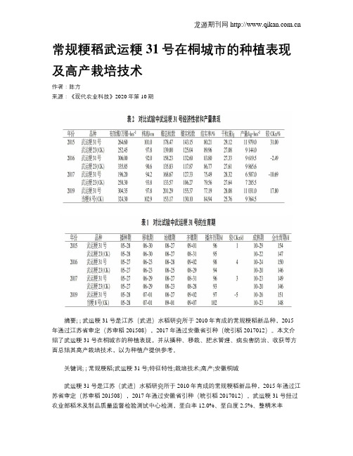 常规粳稻武运粳31号在桐城市的种植表现及高产栽培技术