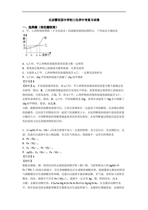 北京樱花园中学初三化学中考复习试卷