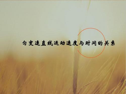 四川省北大附中成都为明学校高中物理必修1 第一章 第