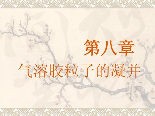 气溶胶力学第8章
