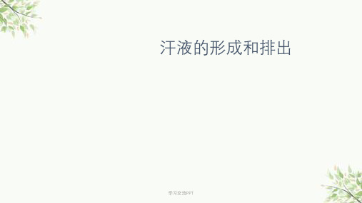汗液的形成和排出课件