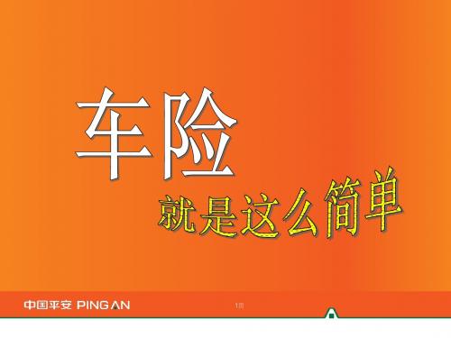 车险就是这么简单3