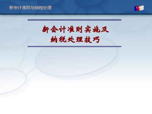 新会计纳税处理技巧与准则