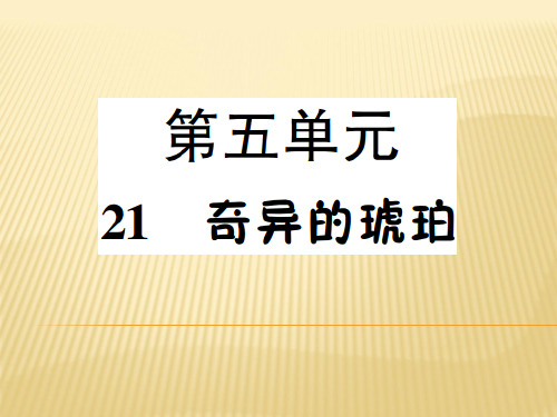 六年级上册语文课件 21.奇异的琥珀 语文S版 (共7张PPT)