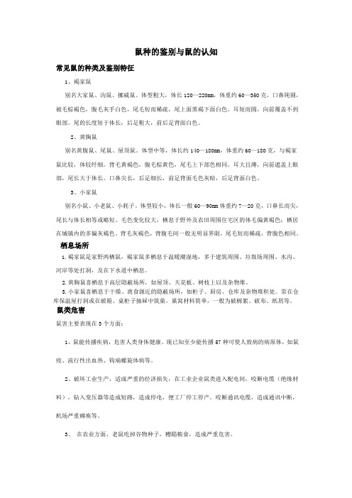 鼠种的鉴别与鼠的认知大纲