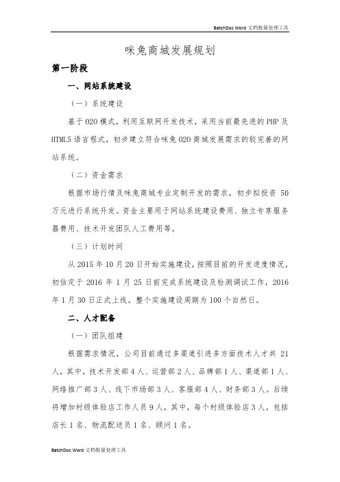 某某商城发展规划方案