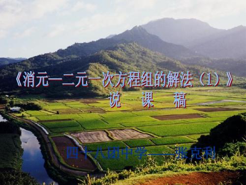 数学：消元--二元一次方程组的解法说课稿课件(人教版七年级下)