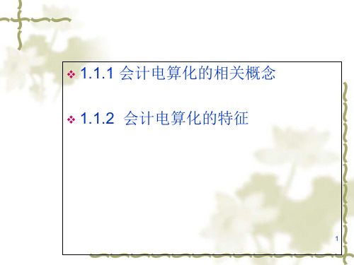 会计电算化概述(ppt 49页)