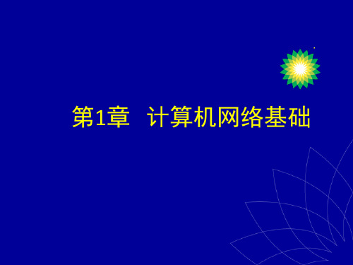ch1计算机网络基础.ppt