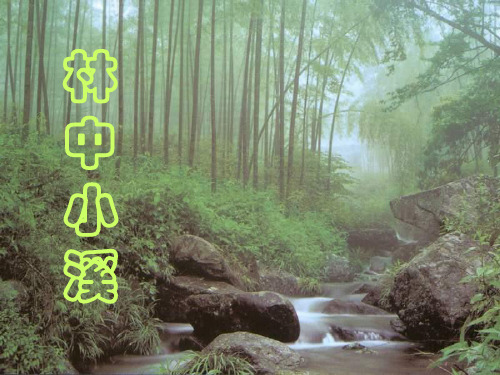 2021年苏教版九年级语文上册《林中小溪》精品课件(共16张PPT).ppt