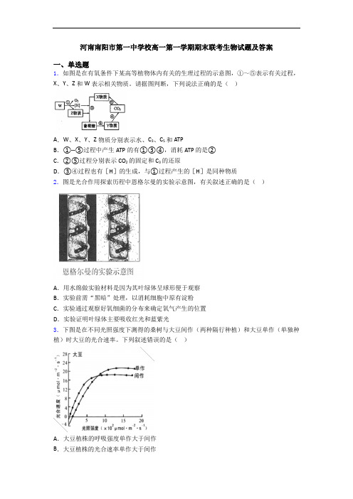 河南南阳市第一中学校高一第一学期期末联考生物试题及答案