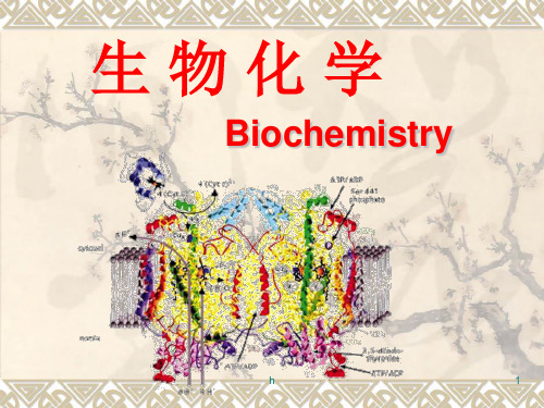 【医学生物化学课件】绪论(案例)